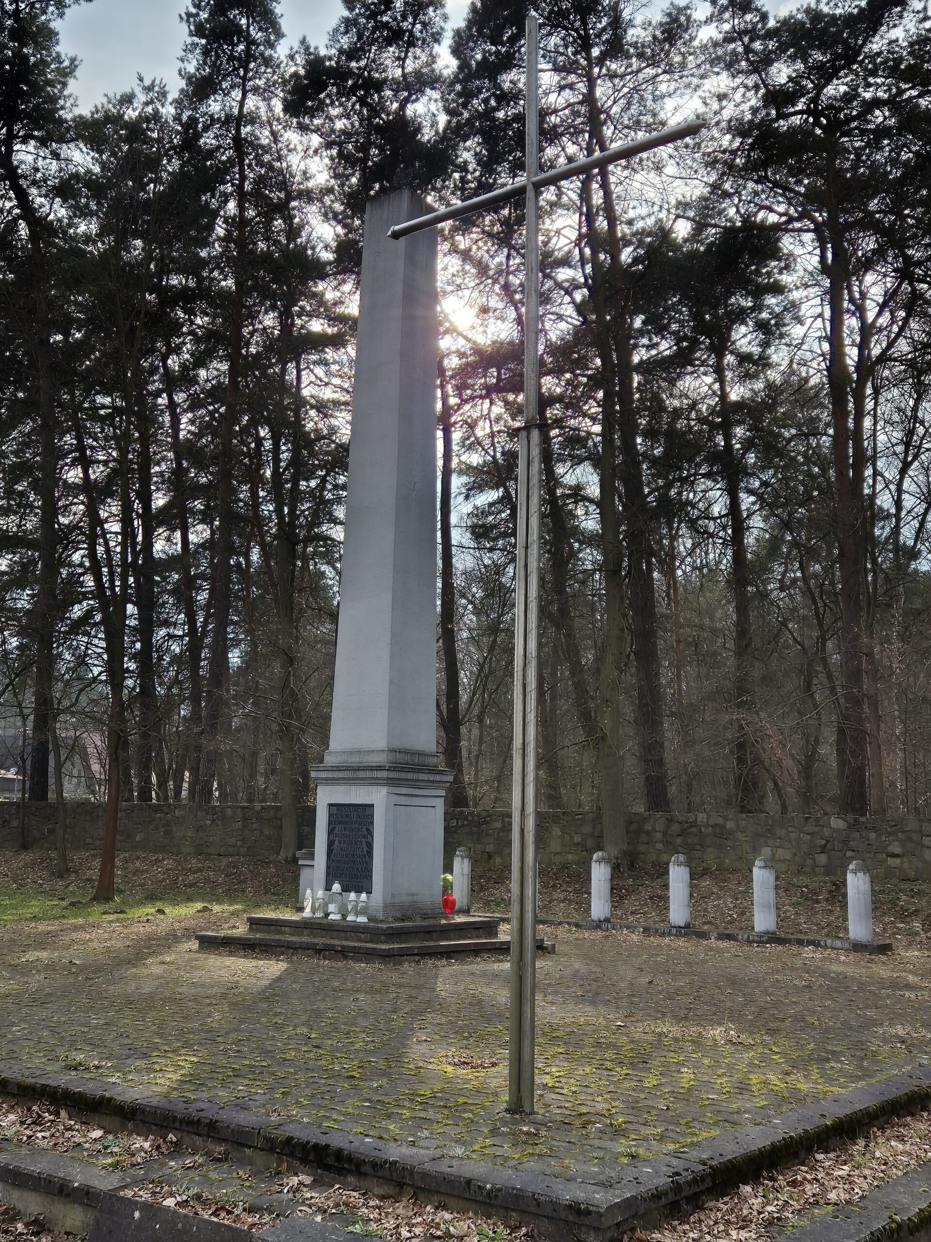 Pomnik poległych mieszkańców Myszkowa (94)