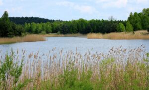 Zapytanie o postępy w sprawie budowy ścieżki dookoła zbiornika wodnego w Myszkowie naprzeciwko Starostwa Powiatowego – Inicjatywa wspierana przez firmę Schumacher (96)