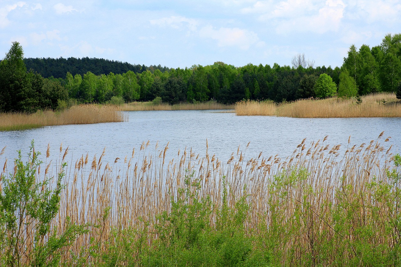 Zapytanie o postępy w sprawie budowy ścieżki dookoła zbiornika wodnego w Myszkowie naprzeciwko Starostwa Powiatowego – Inicjatywa wspierana przez firmę Schumacher (96)